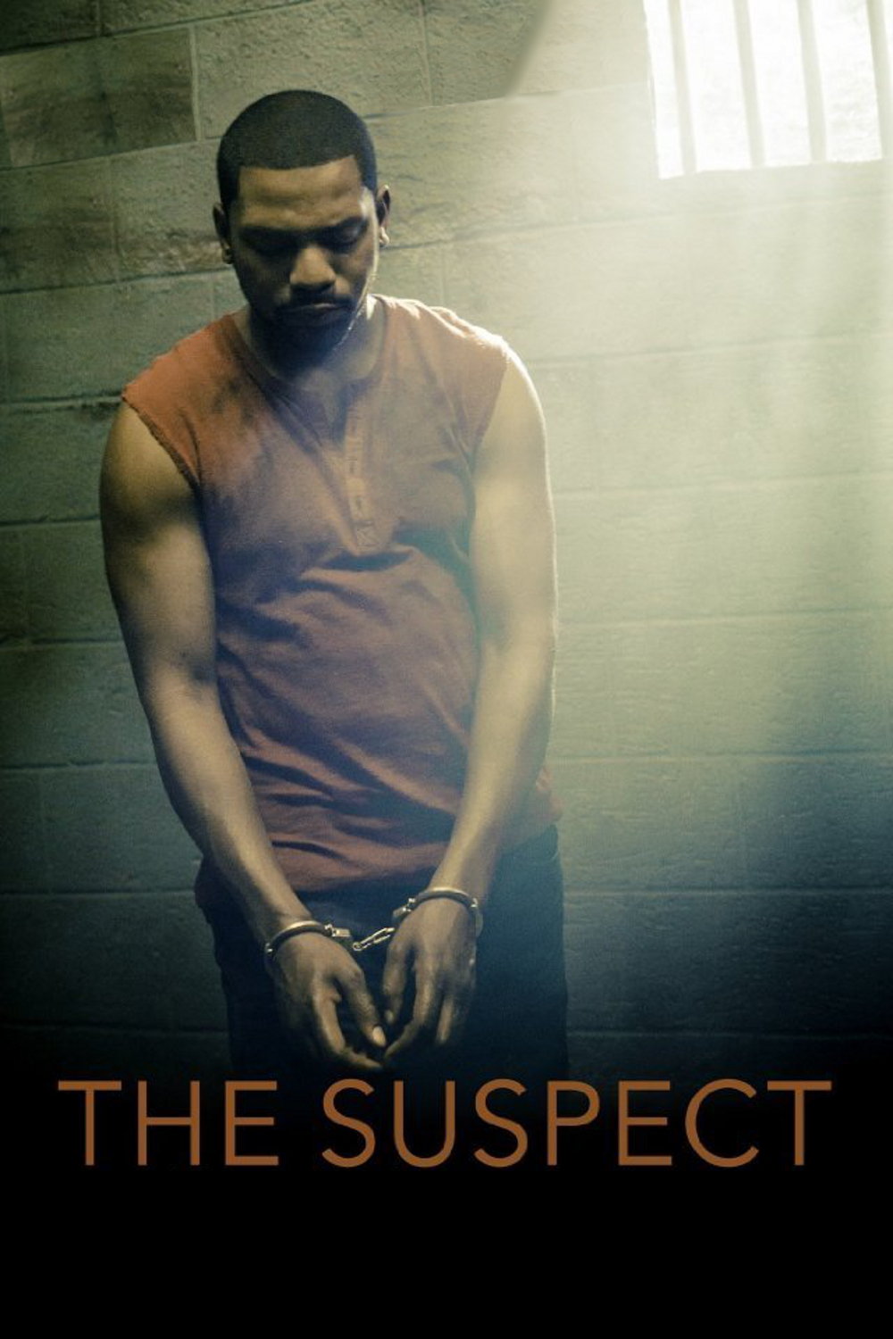 affiche du film The Suspect