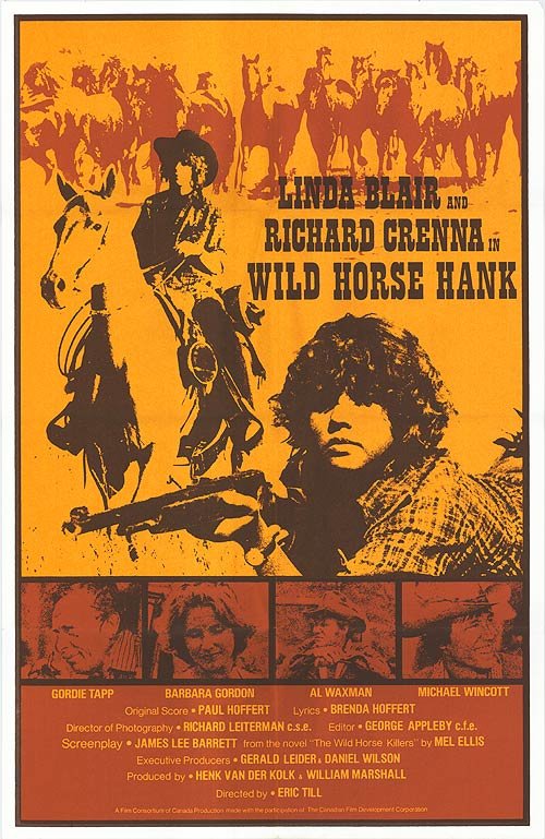 affiche du film Wild Horse Hank
