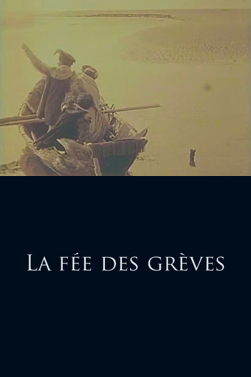 affiche du film La fée des grèves