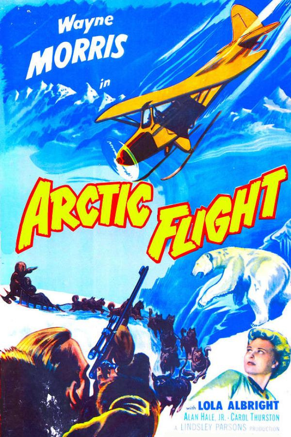 affiche du film Arctic Flight