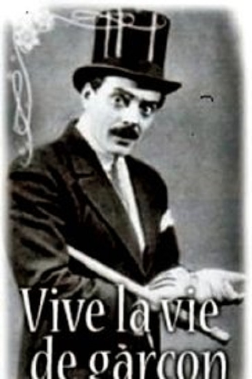 affiche du film Vive la vie de garçon