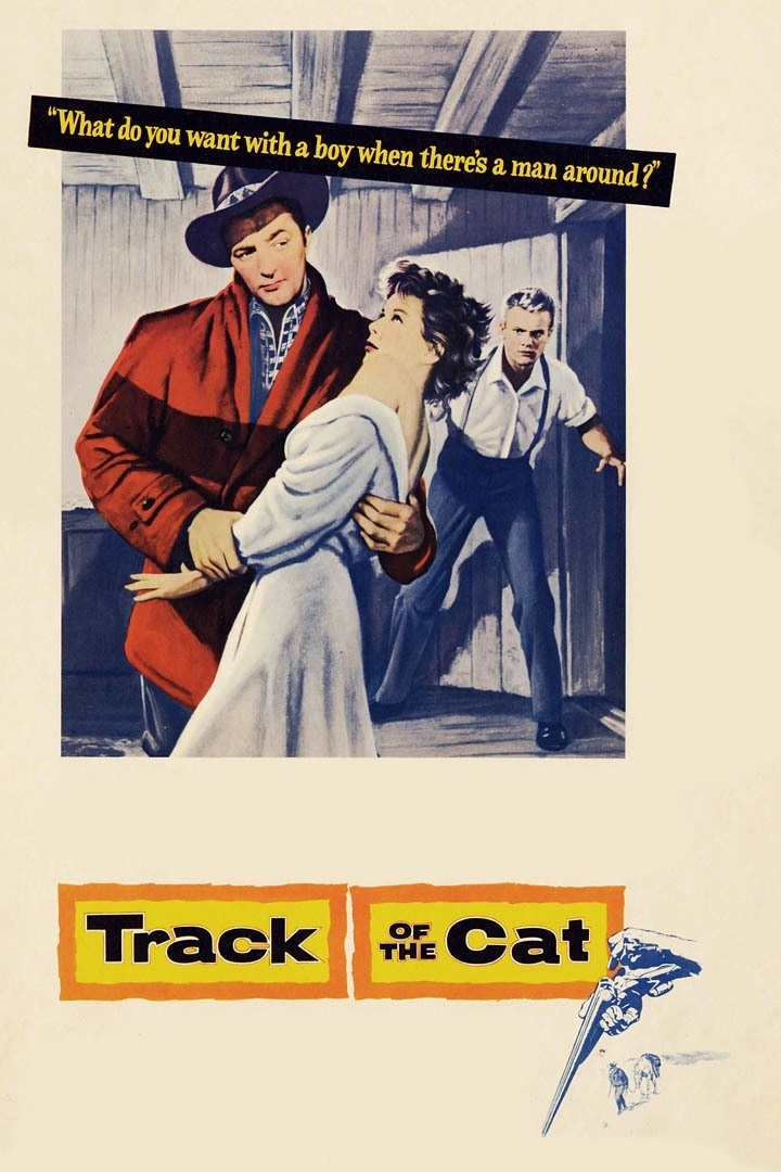 affiche du film Track of the Cat