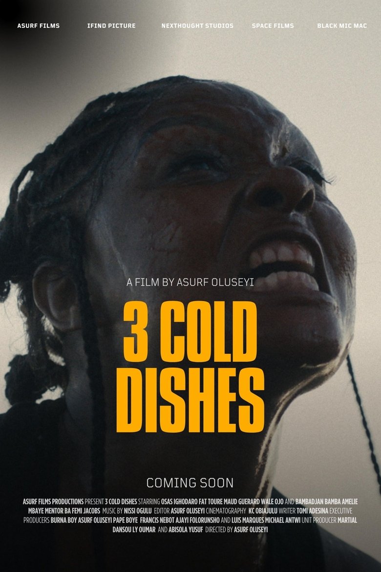 affiche du film 3 Cold Dishes