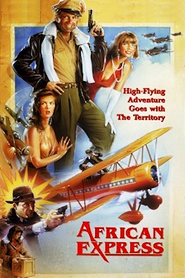 affiche du film African Express