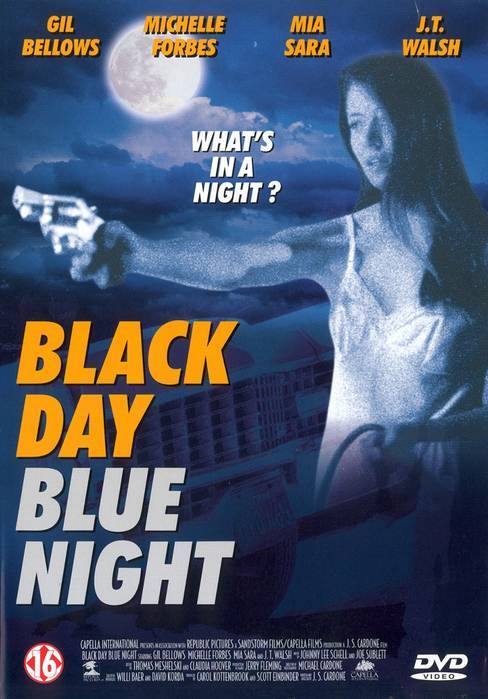 affiche du film Black Day Blue Night