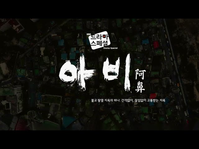 affiche du film Avici