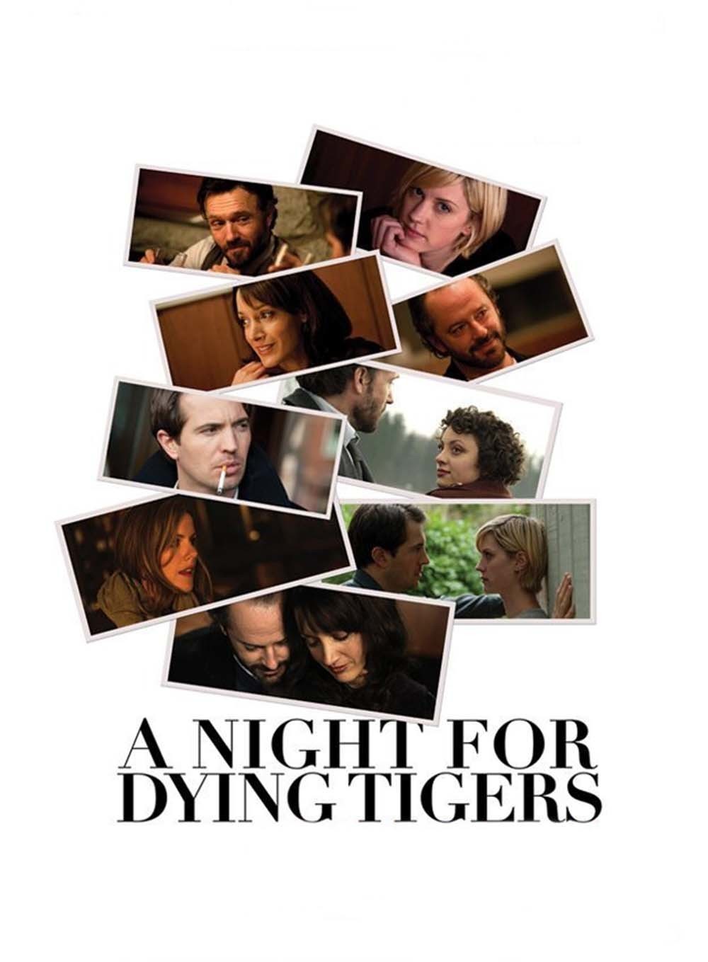 affiche du film A Night for Dying Tigers
