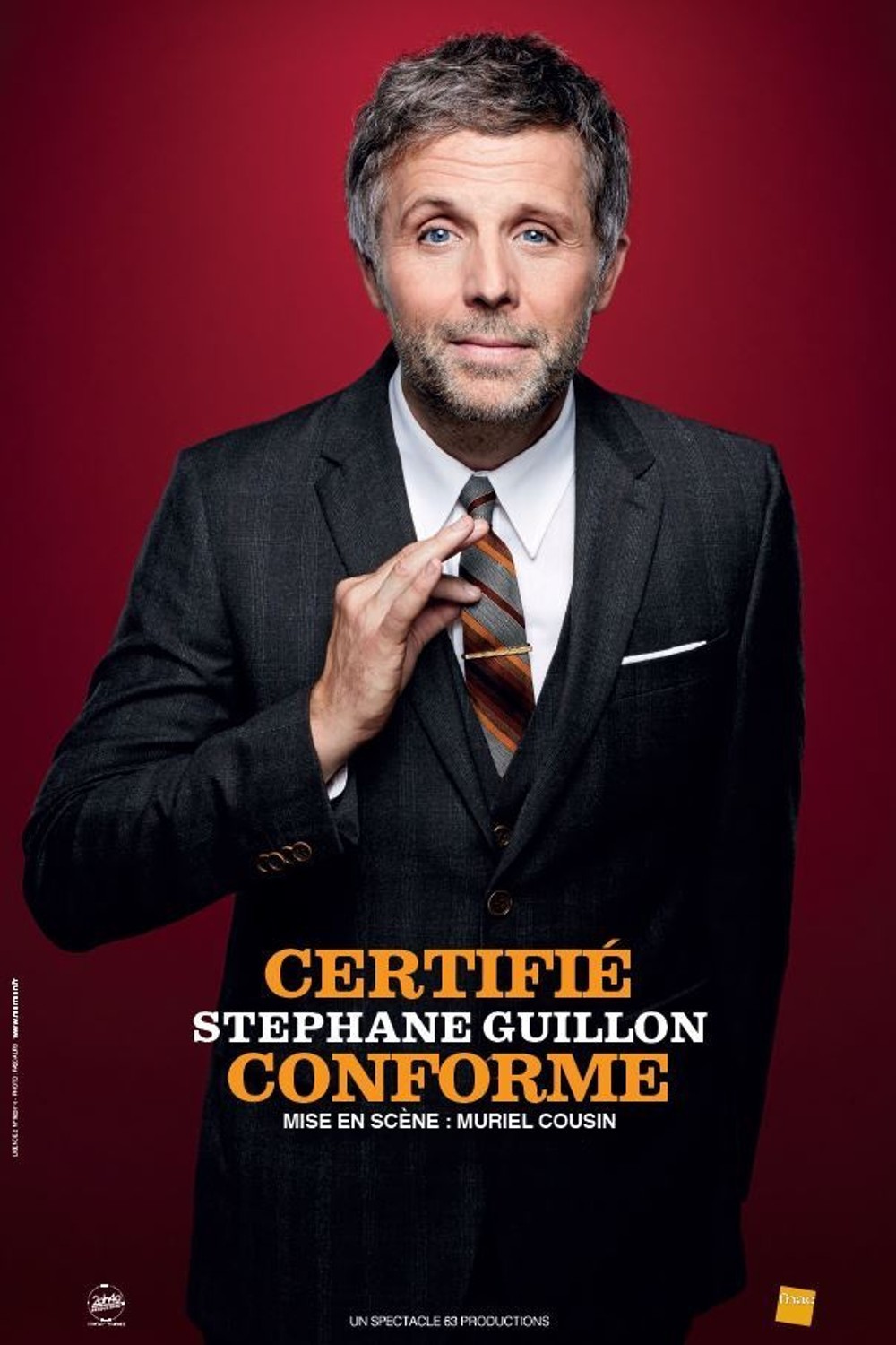 affiche du film Stéphane Guillon: Certifié Conforme