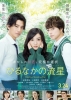 Daytime Shooting Star (Hirunaka no Ryusei)
