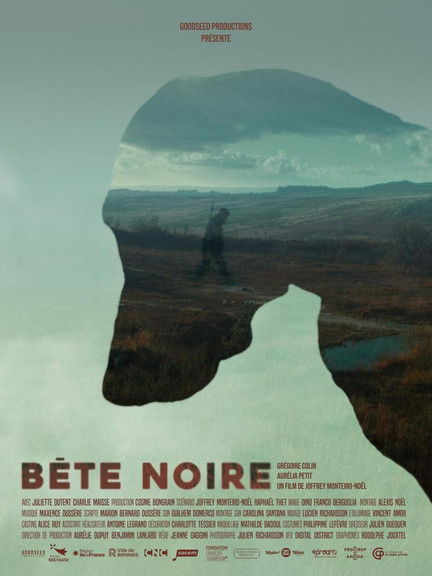 affiche du film Bête Noire