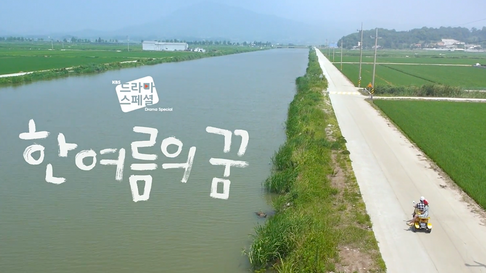 affiche du film Summer Dream