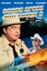 Cours après moi Shérif 3 (Smokey and the Bandit 3)