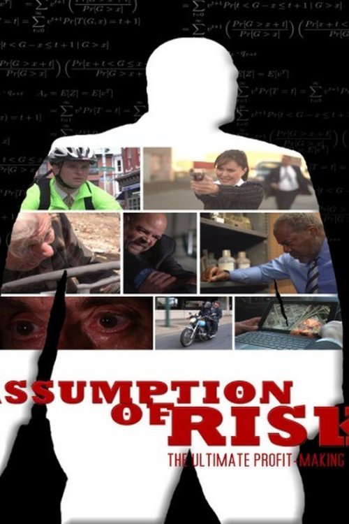 affiche du film Assumption of Risk