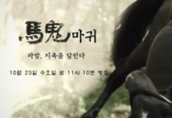 affiche du film The Devil Rider