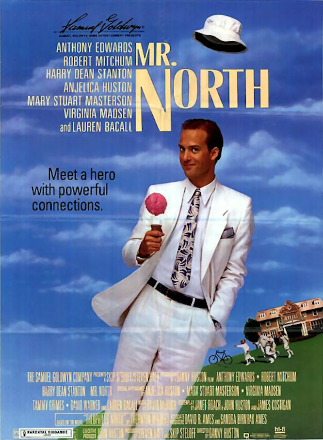 affiche du film Mr. North