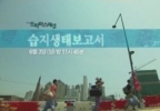 Swamp Ecology Report (Seupjisaengtaebogoseo)