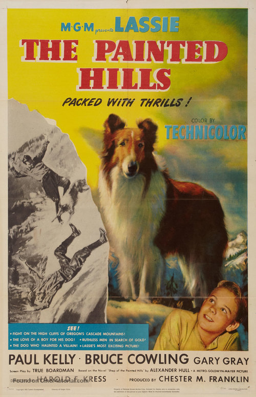 affiche du film The Painted Hills