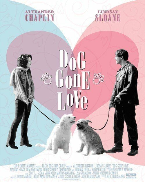 affiche du film Un amour de chien