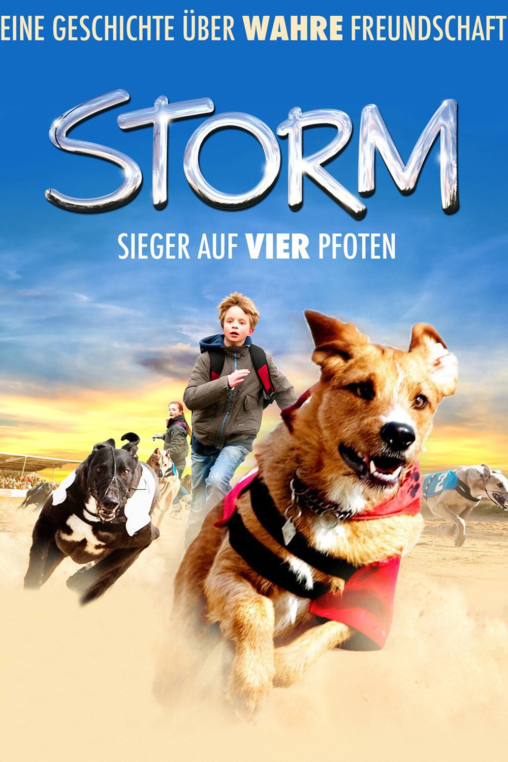 affiche du film Storm (2009)