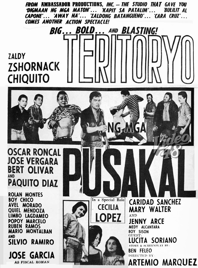 affiche du film Teritoryo ng mga Pusakal