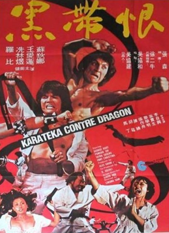 affiche du film Karatéka contre Dragon