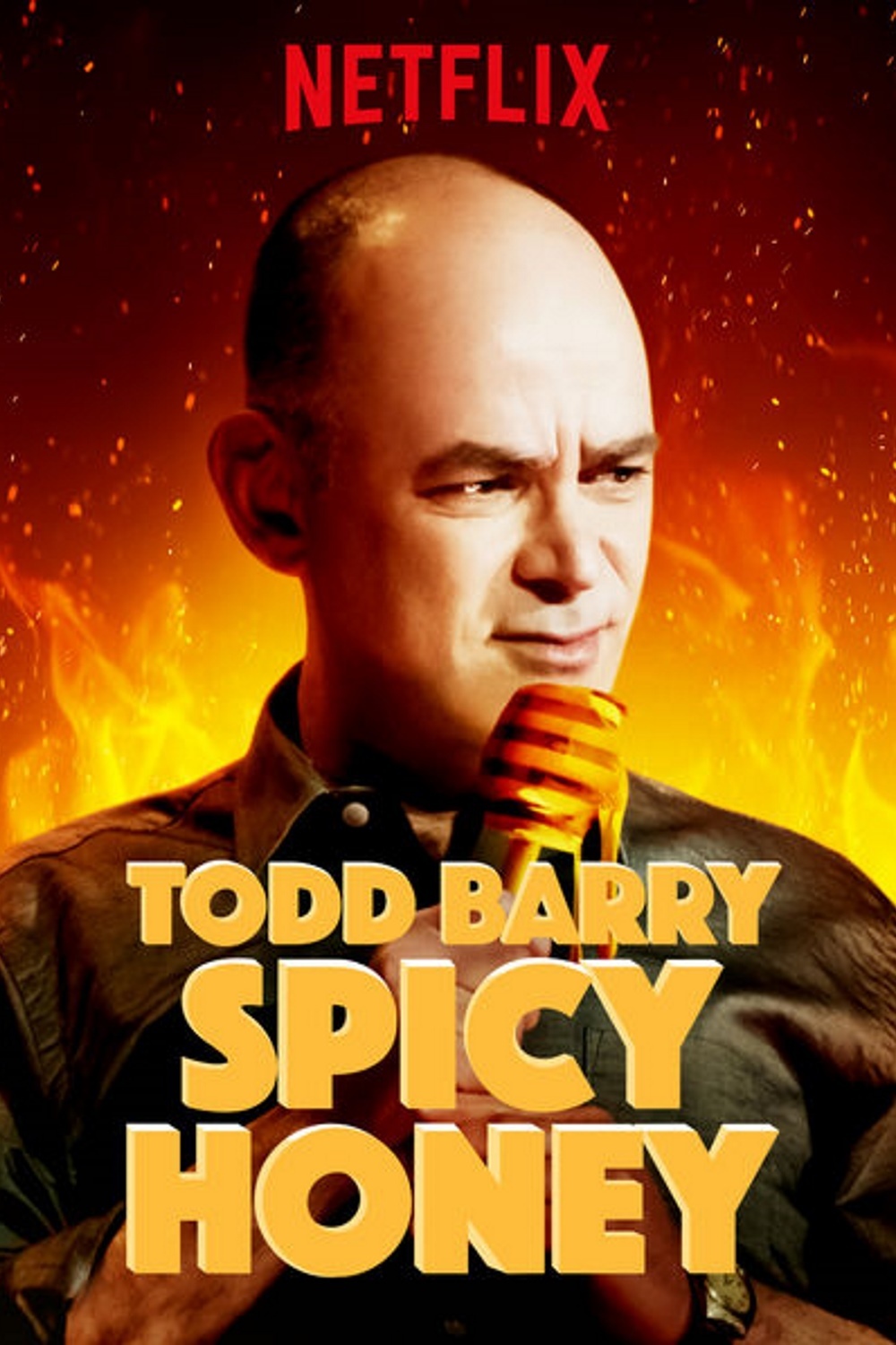 affiche du film Todd Barry: Spicy Honey