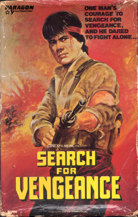 affiche du film Search For Vengeance
