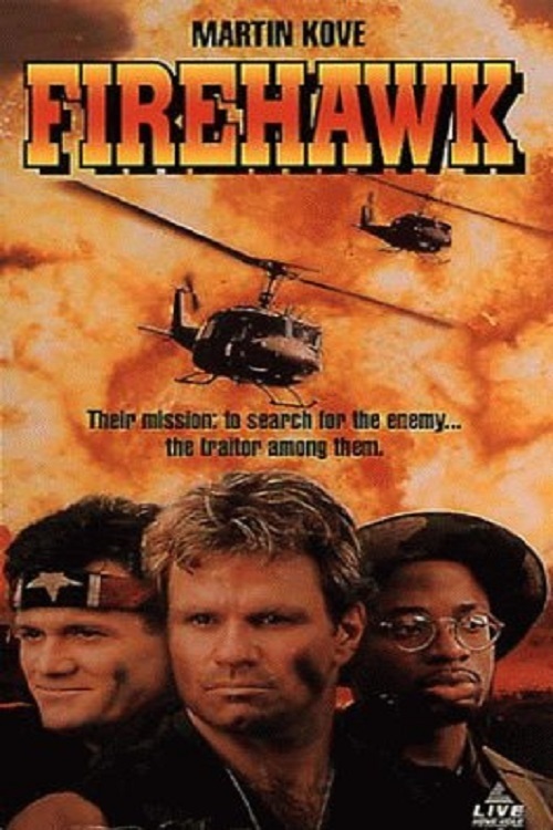 affiche du film Firehawk: mission secrète