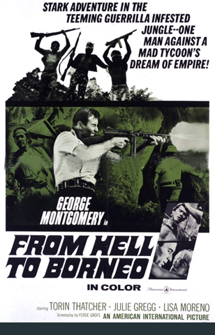 affiche du film From Hell to Borneo