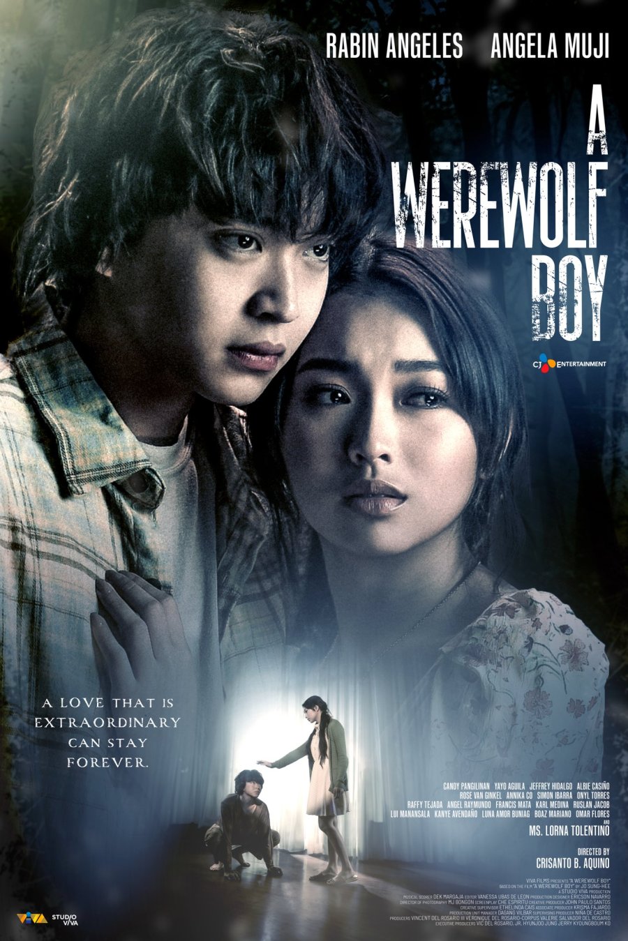 affiche du film A Werewolf Boy