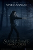 Severus Rogue et les Maraudeurs (fanfilm) (Severus Snape and The Marauders (fanfilm))