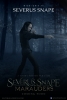 Severus Rogue et les Maraudeurs (fan film) (Severus Snape and The Marauders (fan film))