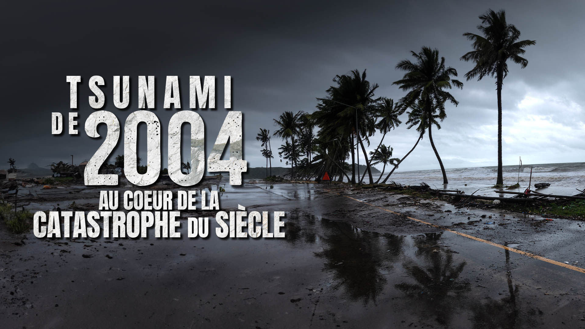 affiche du film Tsunami de 2004 : au coeur de la catastrophe du siècle