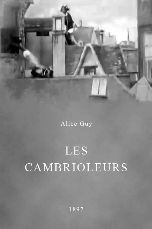 affiche du film Les cambrioleurs