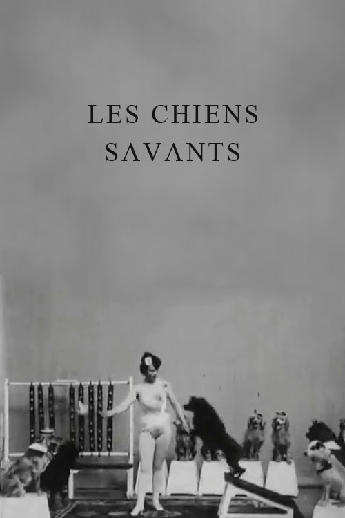 affiche du film Les chiens savants