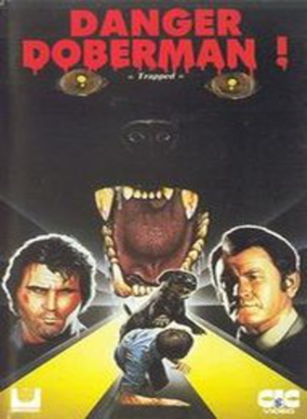 affiche du film Danger doberman !