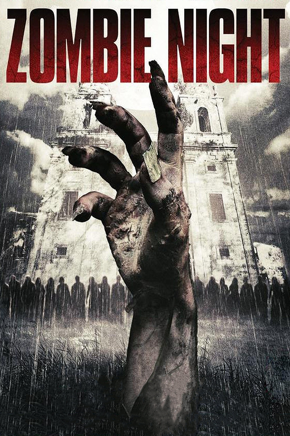 affiche du film Zombie Night