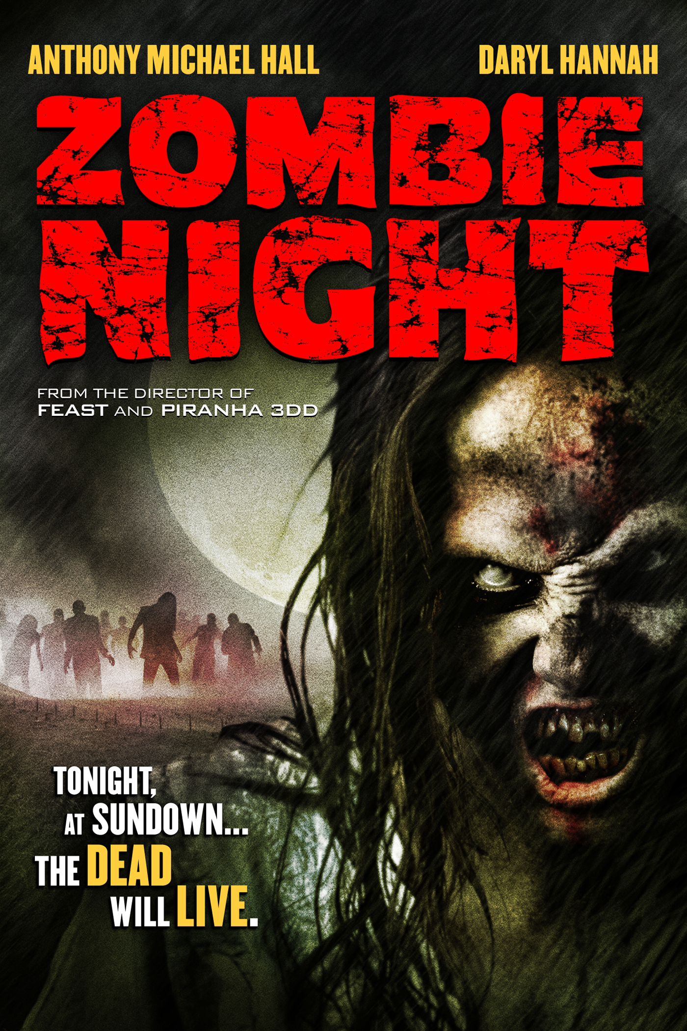 affiche du film Zombie Night