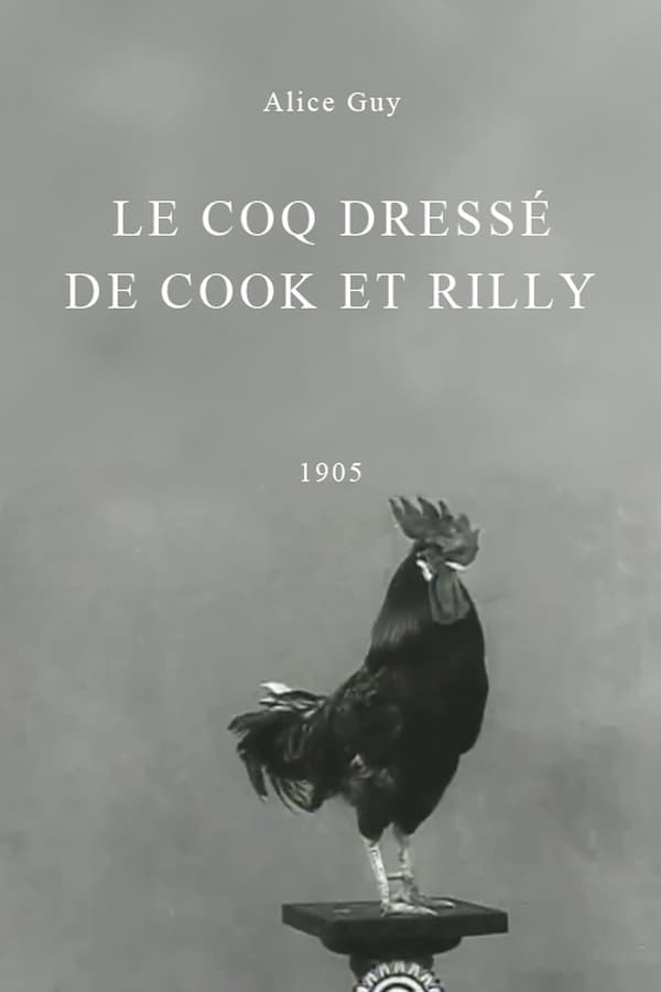 affiche du film Le coq dressé de Cook et Rilly