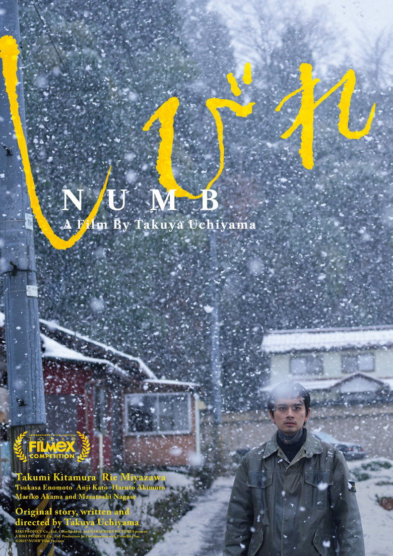 affiche du film Numb