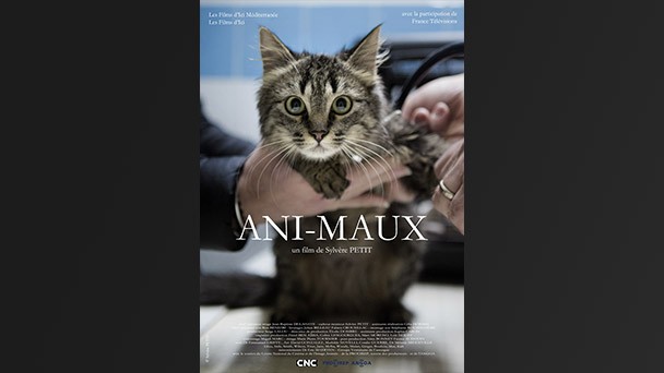 affiche du film Ani-maux