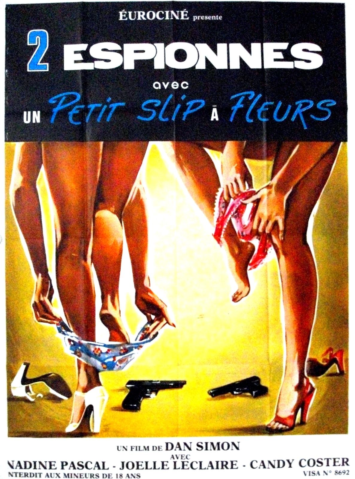 affiche du film Deux espionnes avec un petit slip à fleurs