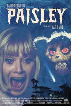 affiche du film Paisley