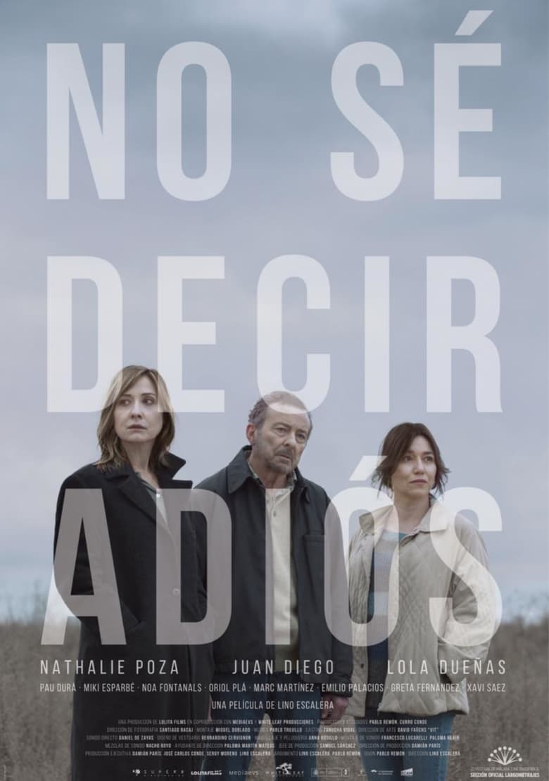 affiche du film No sé decir adiós