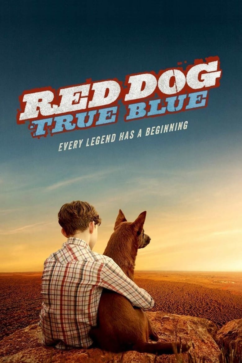 affiche du film Blue, mon chien d'Australie