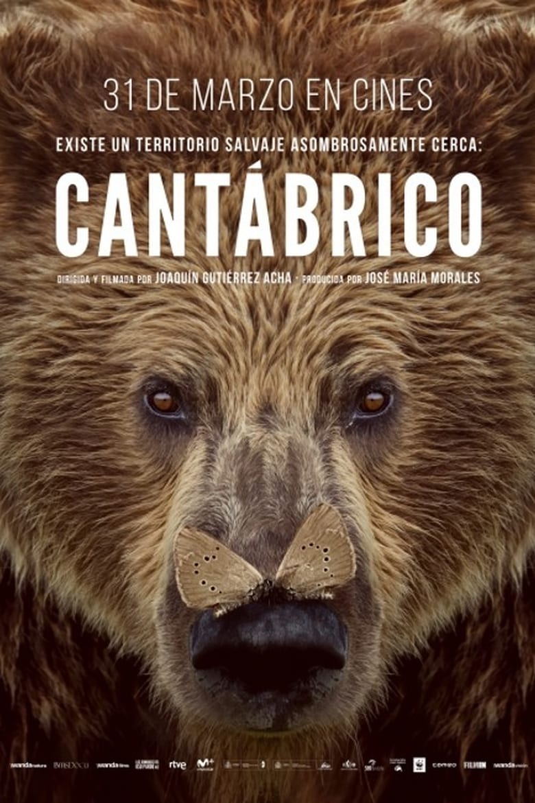 affiche du film Cantábrico