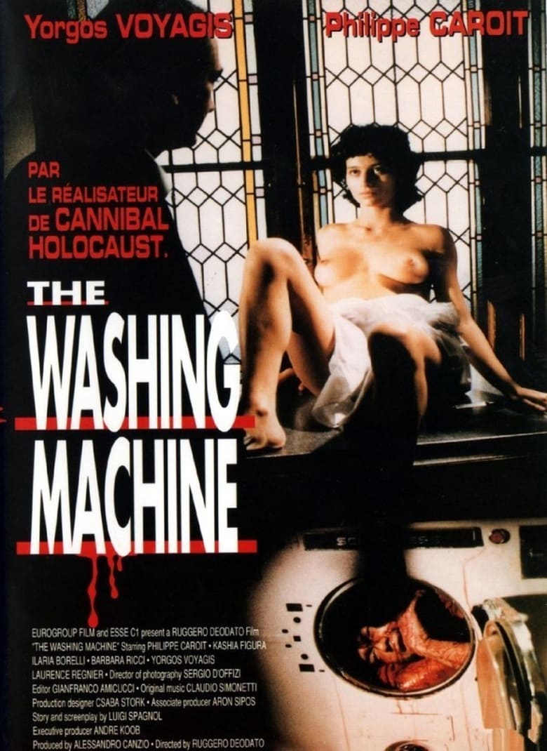 affiche du film The washing machine