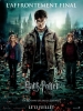Harry Potter et les Reliques de la Mort : 2ème partie (Harry Potter and the Deathly Hallows: Part 2)