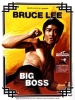 Big Boss (Tang shan da xiong)