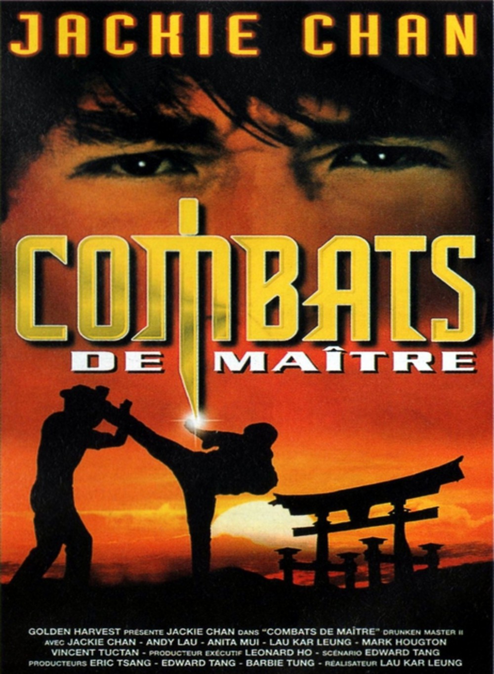 affiche du film Combats de maître 2